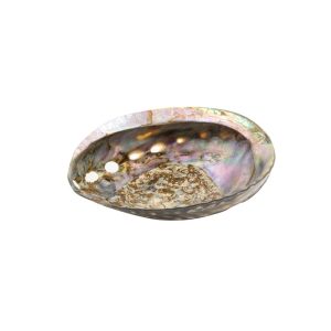 Conchiglia Abalone, supporto per Smudge. (Haliotis Linnaeus) 13/15cm - immagine 5