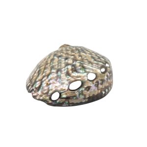 Conchiglia Abalone, supporto per Smudge. (Haliotis Linnaeus) 13/15cm - immagine 6