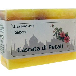 Confezione da 5 saponi da gr.100 - MADE IN ITALY - immagine 13